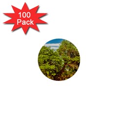 Carob Tree, Talampaya National Park, La Rioja, Argentina 1  Mini Buttons (100 Pack)  by dflcprintsclothing