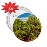 Carob Tree, Talampaya National Park, La Rioja, Argentina 2.25  Buttons (100 pack)  Front