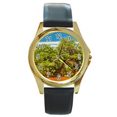 Carob Tree, Talampaya National Park, La Rioja, Argentina Round Gold Metal Watch by dflcprintsclothing