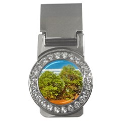 Carob Tree, Talampaya National Park, La Rioja, Argentina Money Clips (cz)  by dflcprintsclothing