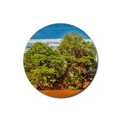 Carob Tree, Talampaya National Park, La Rioja, Argentina Rubber Coaster (round)  by dflcprintsclothing