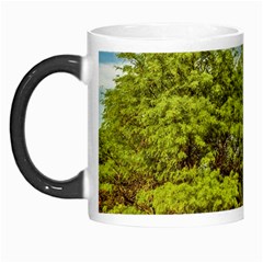 Carob Tree, Talampaya National Park, La Rioja, Argentina Morph Mugs by dflcprintsclothing