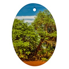 Carob Tree, Talampaya National Park, La Rioja, Argentina Oval Ornament (two Sides) by dflcprintsclothing