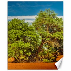 Carob Tree, Talampaya National Park, La Rioja, Argentina Canvas 16  X 20  by dflcprintsclothing