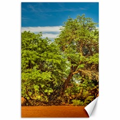 Carob Tree, Talampaya National Park, La Rioja, Argentina Canvas 24  X 36  by dflcprintsclothing