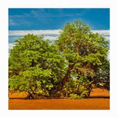 Carob Tree, Talampaya National Park, La Rioja, Argentina Medium Glasses Cloth by dflcprintsclothing