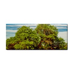 Carob Tree, Talampaya National Park, La Rioja, Argentina Hand Towel by dflcprintsclothing