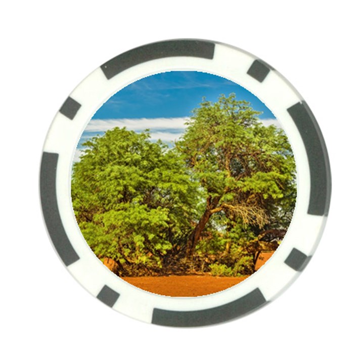 Carob Tree, Talampaya National Park, La Rioja, Argentina Poker Chip Card Guard (10 pack)