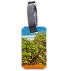 Carob Tree, Talampaya National Park, La Rioja, Argentina Luggage Tag (two Sides) by dflcprintsclothing