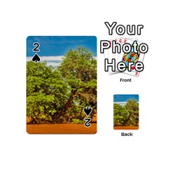 Carob Tree, Talampaya National Park, La Rioja, Argentina Playing Cards 54 Designs (mini) by dflcprintsclothing