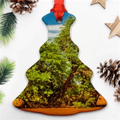 Carob Tree, Talampaya National Park, La Rioja, Argentina Christmas Tree Ornament (two Sides) by dflcprintsclothing