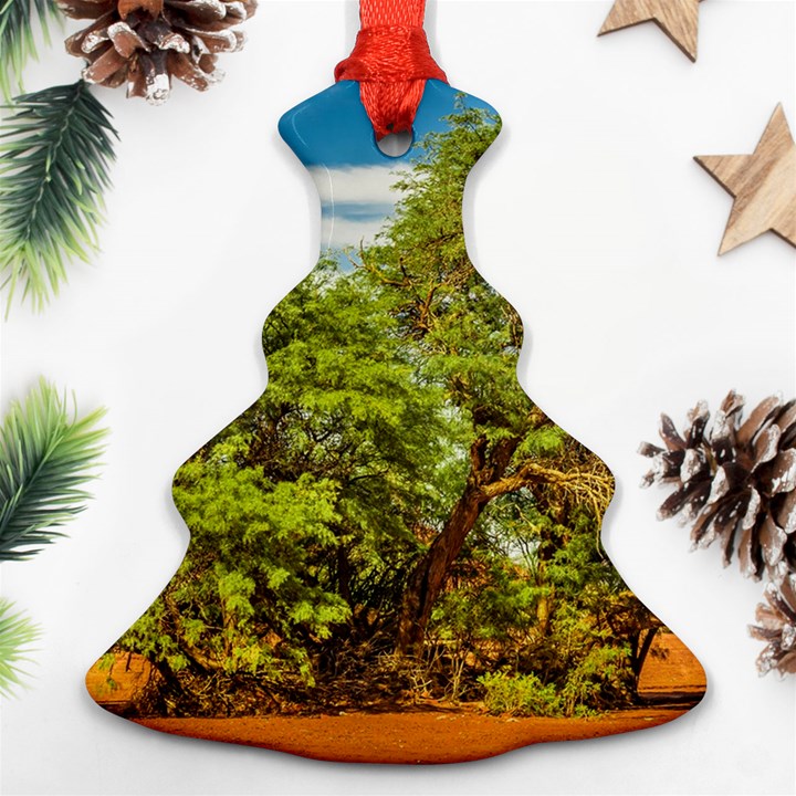 Carob Tree, Talampaya National Park, La Rioja, Argentina Christmas Tree Ornament (Two Sides)