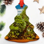 Carob Tree, Talampaya National Park, La Rioja, Argentina Christmas Tree Ornament (Two Sides) Back