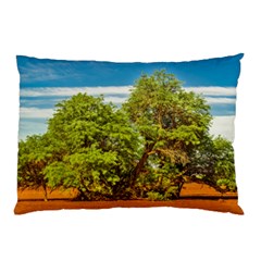 Carob Tree, Talampaya National Park, La Rioja, Argentina Pillow Case (two Sides) by dflcprintsclothing