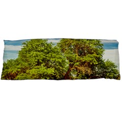 Carob Tree, Talampaya National Park, La Rioja, Argentina Body Pillow Case (dakimakura) by dflcprintsclothing