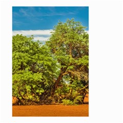 Carob Tree, Talampaya National Park, La Rioja, Argentina Small Garden Flag (two Sides) by dflcprintsclothing