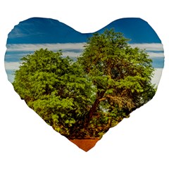 Carob Tree, Talampaya National Park, La Rioja, Argentina Large 19  Premium Heart Shape Cushions by dflcprintsclothing