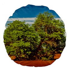 Carob Tree, Talampaya National Park, La Rioja, Argentina Large 18  Premium Flano Round Cushions