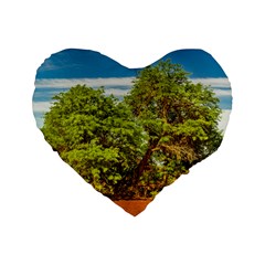 Carob Tree, Talampaya National Park, La Rioja, Argentina Standard 16  Premium Flano Heart Shape Cushions by dflcprintsclothing