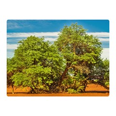 Carob Tree, Talampaya National Park, La Rioja, Argentina Double Sided Flano Blanket (mini)  by dflcprintsclothing