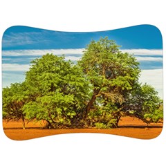 Carob Tree, Talampaya National Park, La Rioja, Argentina Velour Seat Head Rest Cushion by dflcprintsclothing