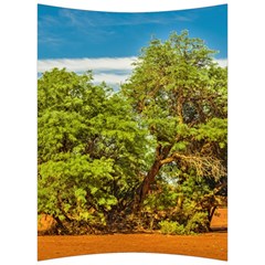 Carob Tree, Talampaya National Park, La Rioja, Argentina Back Support Cushion by dflcprintsclothing