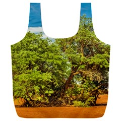 Carob Tree, Talampaya National Park, La Rioja, Argentina Full Print Recycle Bag (xxl)