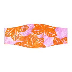 Colorful Stretchable Headband by ginnyden