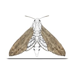 Surreal Moth At Night Plate Mats by GretaBerlin