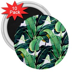 Tropical Banana Leaves 3  Magnets (10 Pack)  by goljakoff