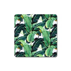 Tropical Banana Leaves Square Magnet by goljakoff