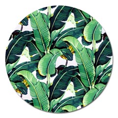 Tropical Banana Leaves Magnet 5  (round) by goljakoff