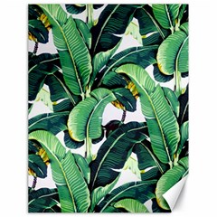 Tropical Banana Leaves Canvas 18  X 24  by goljakoff