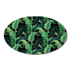 Night Tropical Banana Leaves Oval Magnet by goljakoff