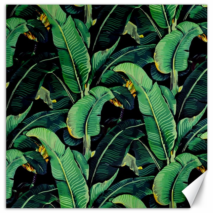 Night tropical banana leaves Canvas 16  x 16 