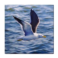 Seagull Flying Over Sea, Montevideo, Uruguay Tile Coaster