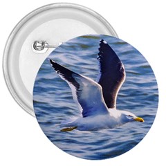 Seagull Flying Over Sea, Montevideo, Uruguay 3  Buttons by dflcprintsclothing