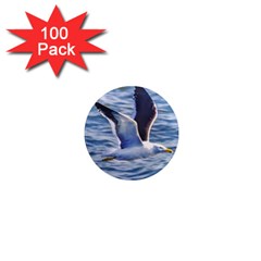 Seagull Flying Over Sea, Montevideo, Uruguay 1  Mini Magnets (100 Pack)  by dflcprintsclothing