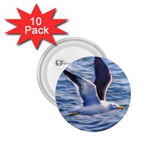 Seagull Flying Over Sea, Montevideo, Uruguay 1 75  Buttons (10 Pack) by dflcprintsclothing