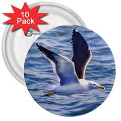 Seagull Flying Over Sea, Montevideo, Uruguay 3  Buttons (10 Pack)  by dflcprintsclothing