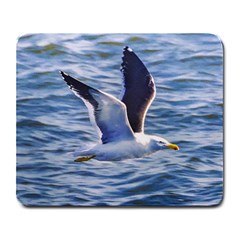 Seagull Flying Over Sea, Montevideo, Uruguay Large Mousepads by dflcprintsclothing