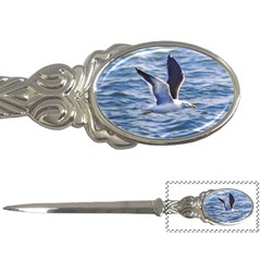 Seagull Flying Over Sea, Montevideo, Uruguay Letter Opener by dflcprintsclothing