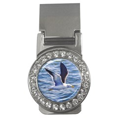 Seagull Flying Over Sea, Montevideo, Uruguay Money Clips (cz)  by dflcprintsclothing