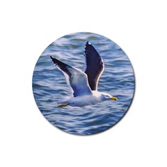 Seagull Flying Over Sea, Montevideo, Uruguay Rubber Round Coaster (4 Pack)  by dflcprintsclothing