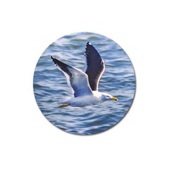 Seagull Flying Over Sea, Montevideo, Uruguay Magnet 3  (round) by dflcprintsclothing