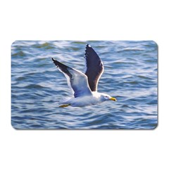 Seagull Flying Over Sea, Montevideo, Uruguay Magnet (rectangular) by dflcprintsclothing