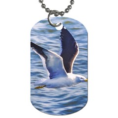 Seagull Flying Over Sea, Montevideo, Uruguay Dog Tag (one Side) by dflcprintsclothing