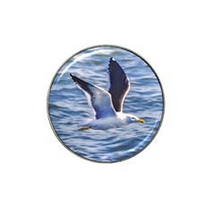 Seagull Flying Over Sea, Montevideo, Uruguay Hat Clip Ball Marker by dflcprintsclothing