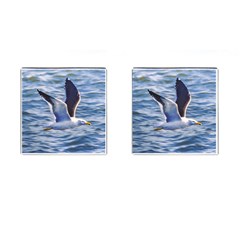 Seagull Flying Over Sea, Montevideo, Uruguay Cufflinks (square) by dflcprintsclothing