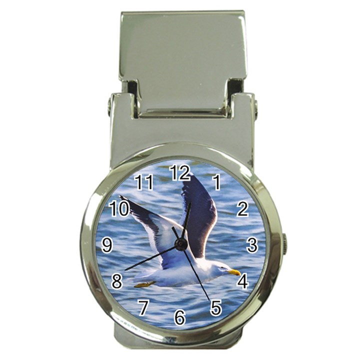 Seagull Flying Over Sea, Montevideo, Uruguay Money Clip Watches